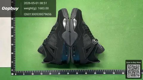 Air Jordan 4 Sneakers Collection 005 -3
