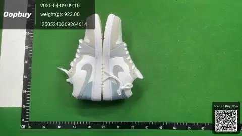 Air Jordan 1 Mid DW Batch -5