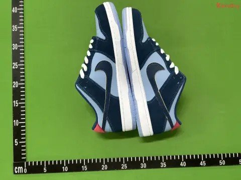 SB Dunk Low Collection 1 -3