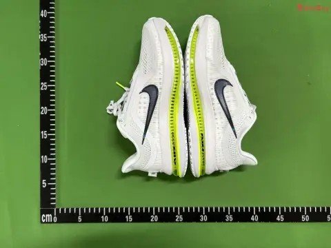 Pegasus Premium YH Batch -2