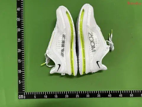 Pegasus Premium YH Batch -4