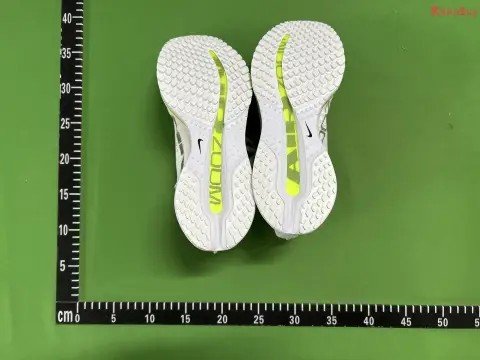 Pegasus Premium YH Batch -3