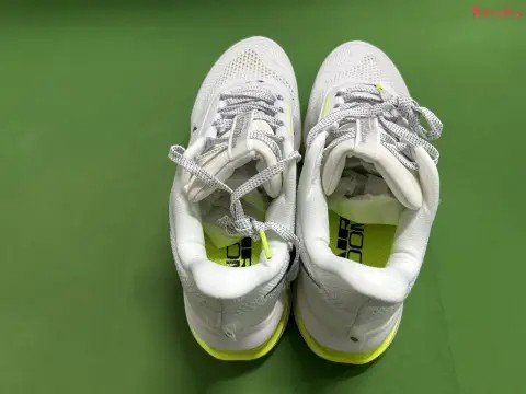 Pegasus Premium YH Batch -6