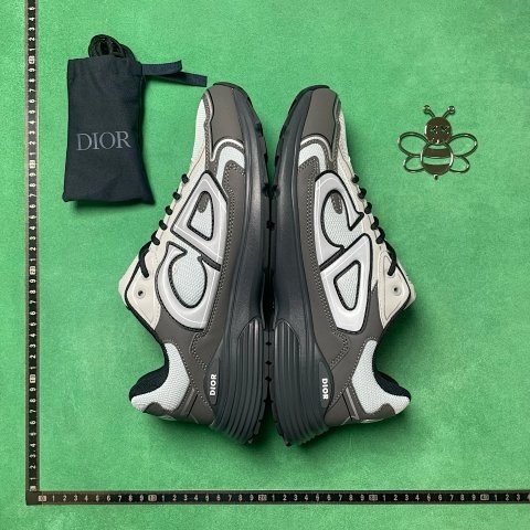 Dior B30 Sneakers DC Batch