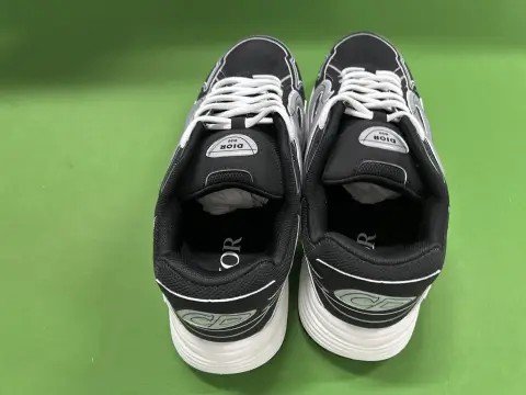 Dior B30 Sneakers DC Batch -3