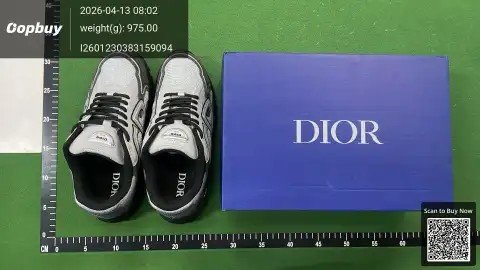 Dior B30 Sneakers DC Batch -5