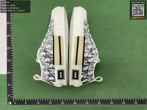 Dior B23 BF Batch -4
