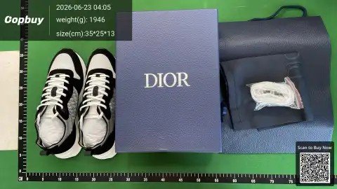 Dior B25 Low-Top Sneakers BD2 -4