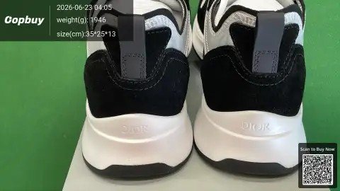 Dior B25 Low-Top Sneakers BD2 -6