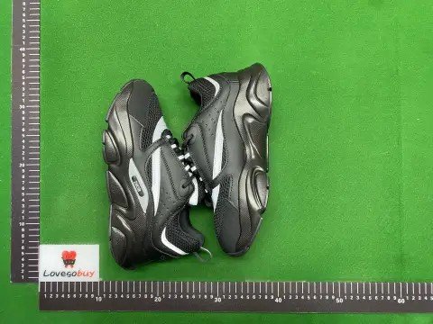 Dior B22 GC Budget Batch -5