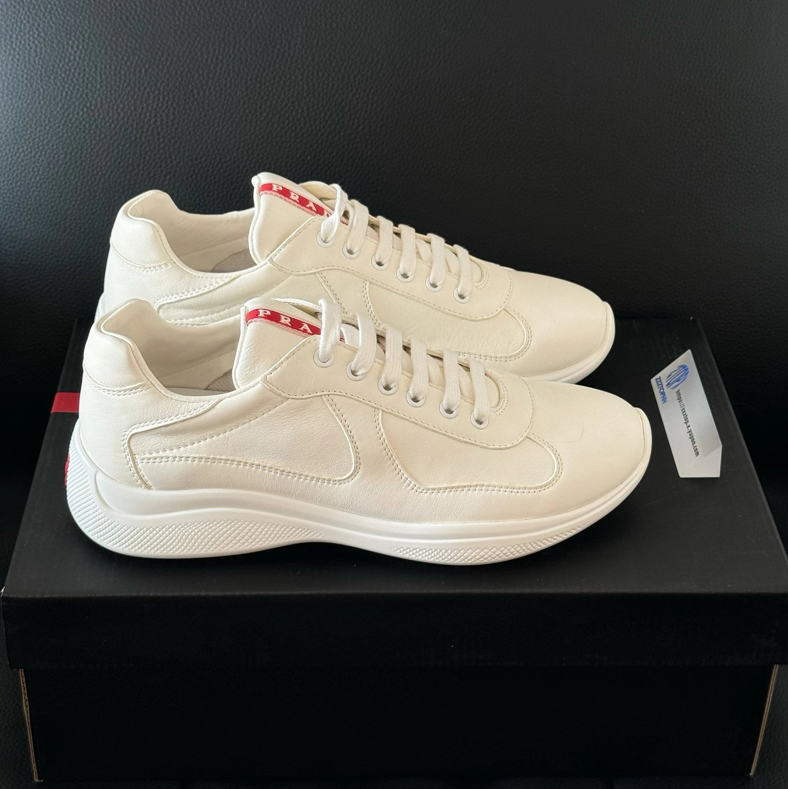 America's Cup Sneakers -5