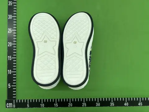 Embroidered Canvas Sneakers -4