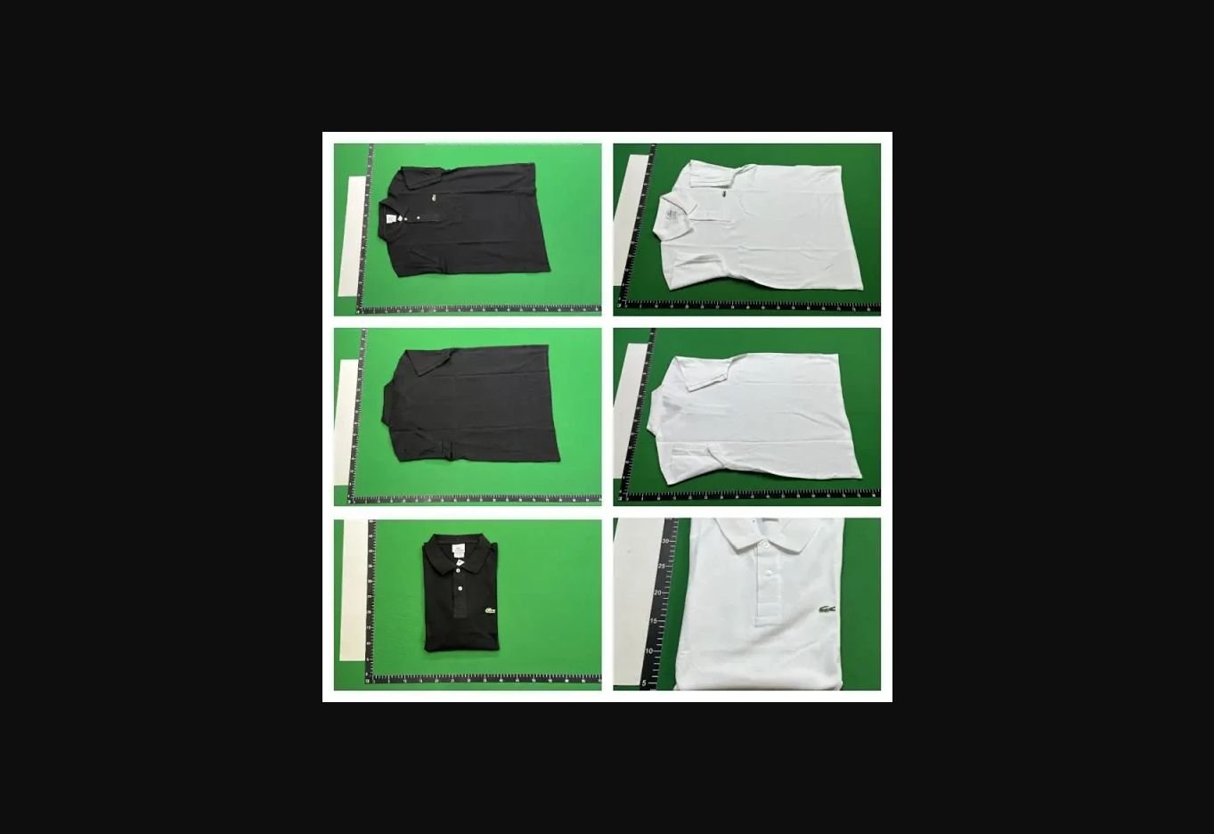 Classic Polo Shirt Collection -2
