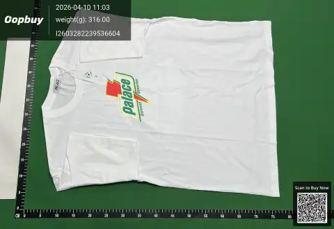Palace Tri-Ferg Graphic T-Shirt -2