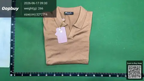 Loro Piana Knit Polo Shirt -2