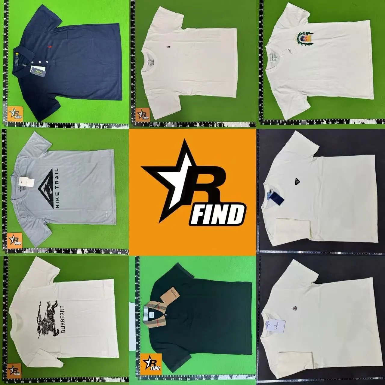 Designer Casual Shorts Collect