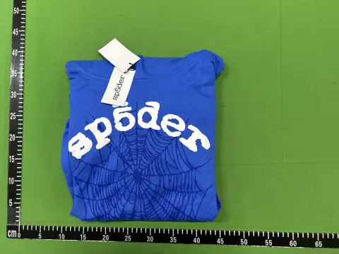 Sp5der Graphic Pullover Hoodie -3
