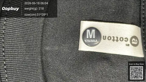Casual Logo Pullover Hoodie -3