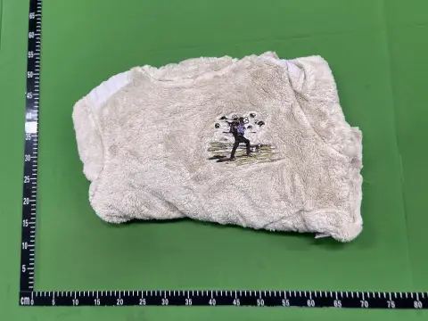 Embroidered Sherpa Fleece Hoodie -5