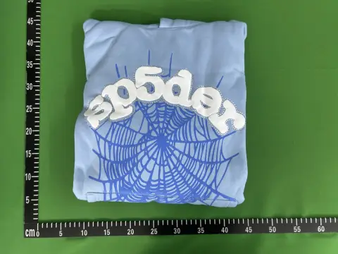 Sp5der Web Graphic Blue Hoodie -5