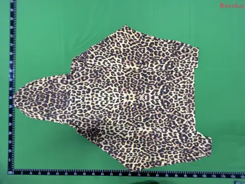 Celine Leopard Print Zip Hoodie -2