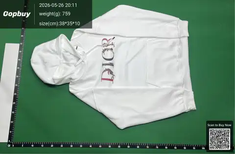 Dior Logo Beige Pullover Hoodie -2