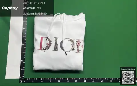 Dior Logo Beige Pullover Hoodie -3