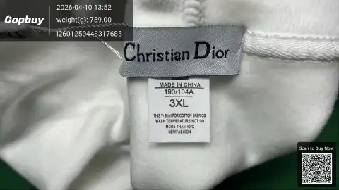 Dior Logo Beige Pullover Hoodie -4