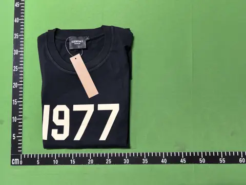 1977 Logo Beige T-Shirt -6