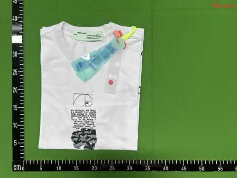 Graphic Print T-Shirt Collection -6