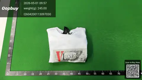 Louis Vuitton V Logo White T-Shirt -3