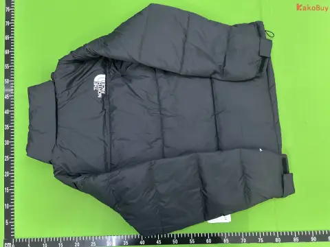TNF 700-Fill Waterproof Puffer Jacket -4