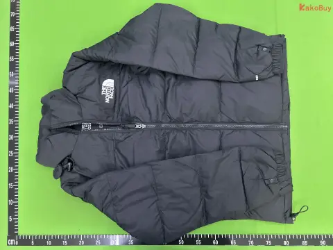 TNF 700-Fill Waterproof Puffer Jacket -2