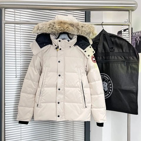 JR-1 2024 Winter Premium Puffe