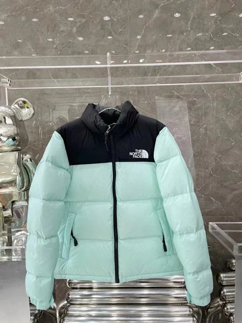 TNF 1996 Puffer Jacket