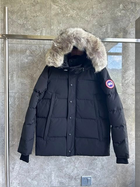 Removable Wyndham Fur Collar P