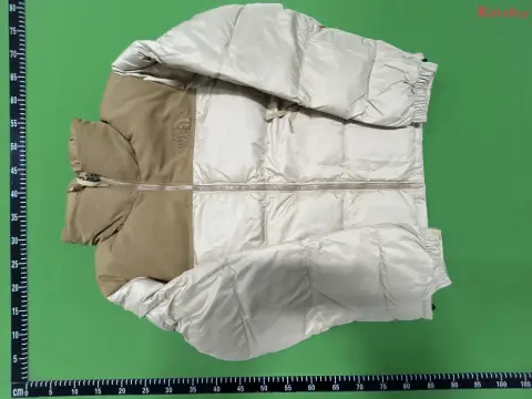 TNF 1996 NFC 700-Fill Puffer Jacket -2