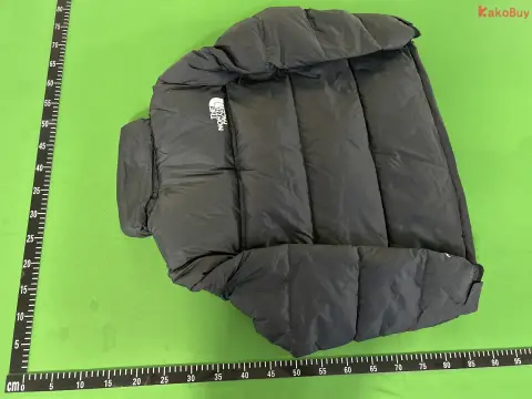TN Face 1996 Puffer Jacket -2