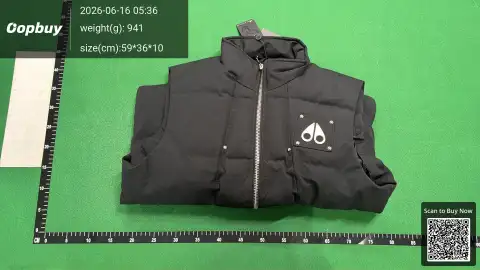 Montreal Tonal Down Vest -1