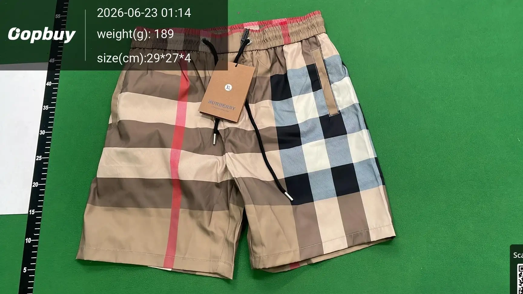 Plaid Casual Shorts -3