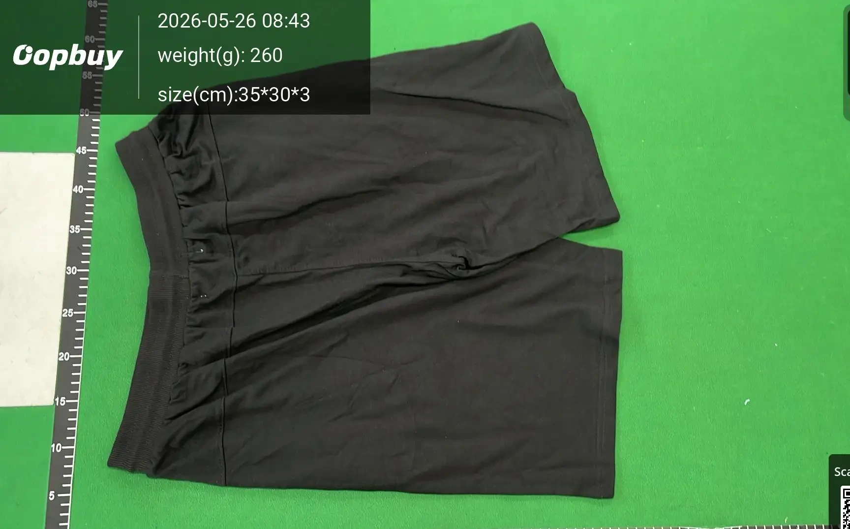 Embroidered Casual Sweat Shorts -4