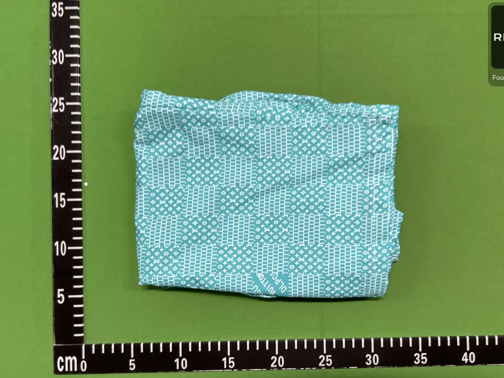 Mesh-Lined Beach Shorts -2