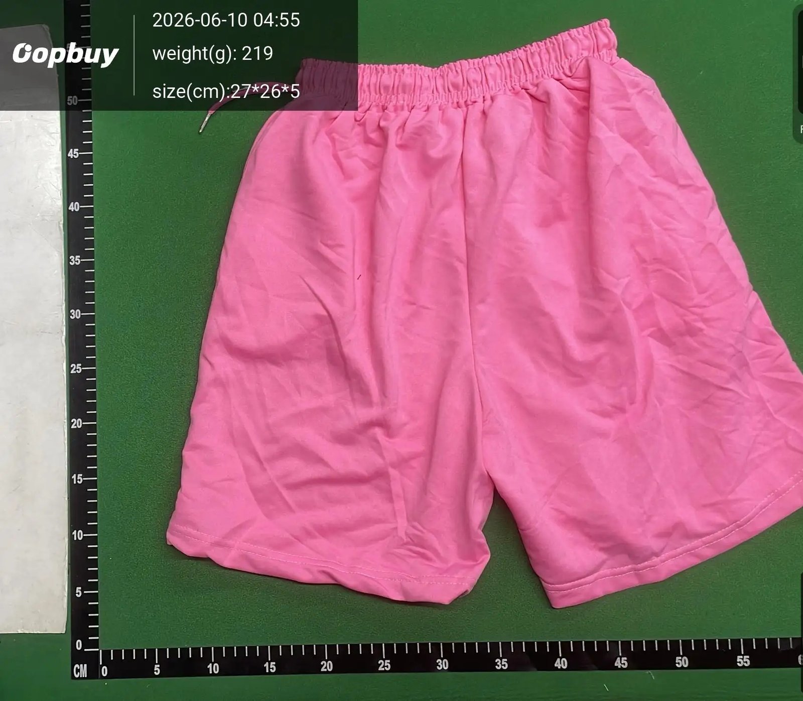 Navy Crocodile Patch Cargo Shorts -6