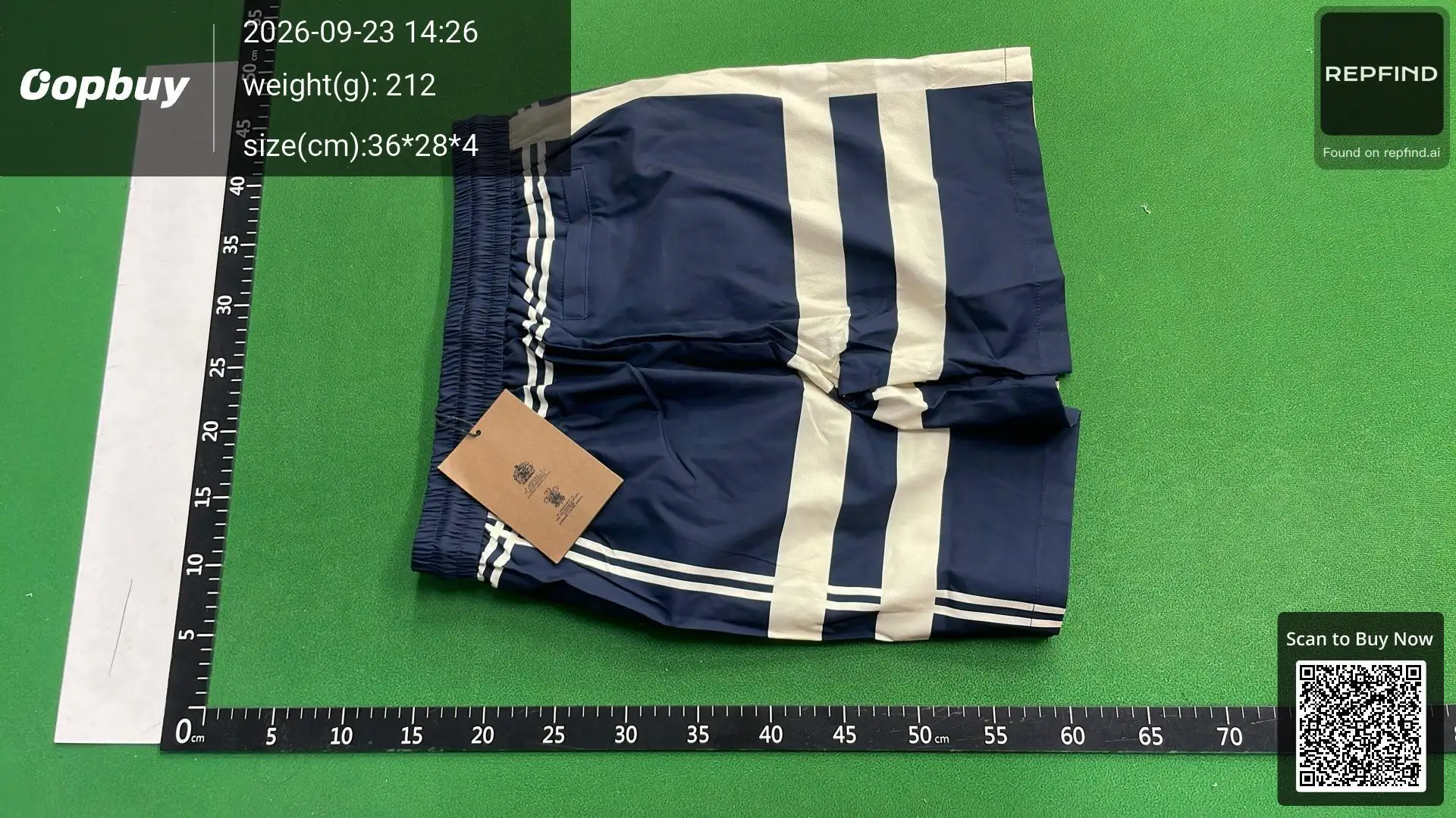 FF Classic Fashion Shorts -6
