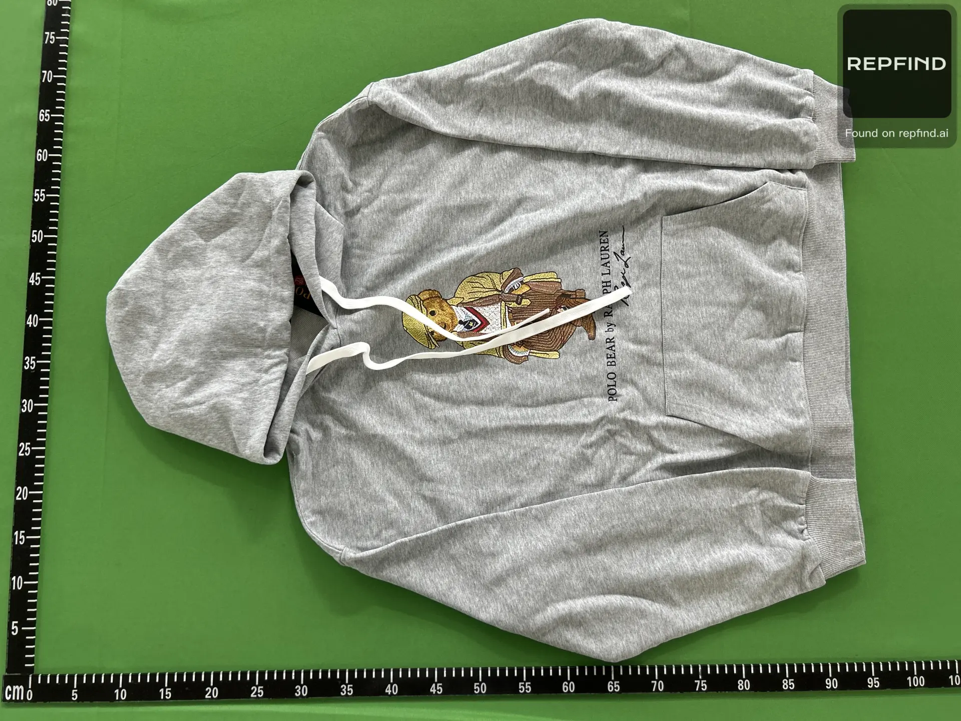Polo Bear Graphic Pullover Hoodie -2