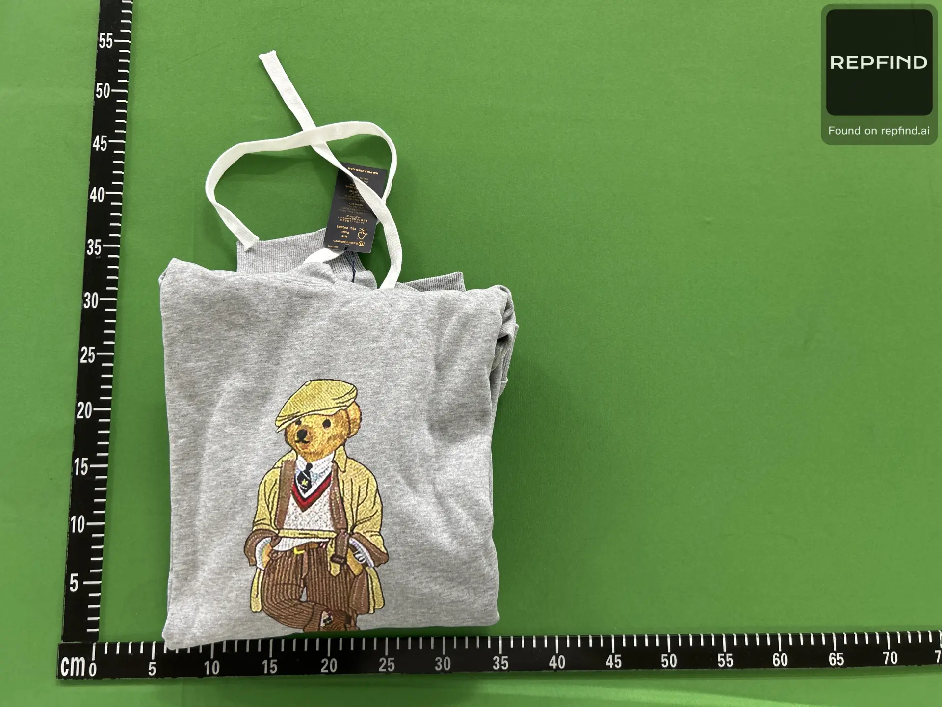 Polo Bear Graphic Pullover Hoodie -4