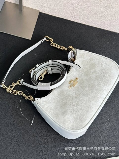 Coach Teri Crescent Shoulder Bag -2