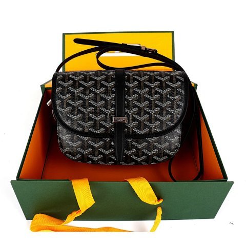 Goyard Flap Crossbody Bag -6