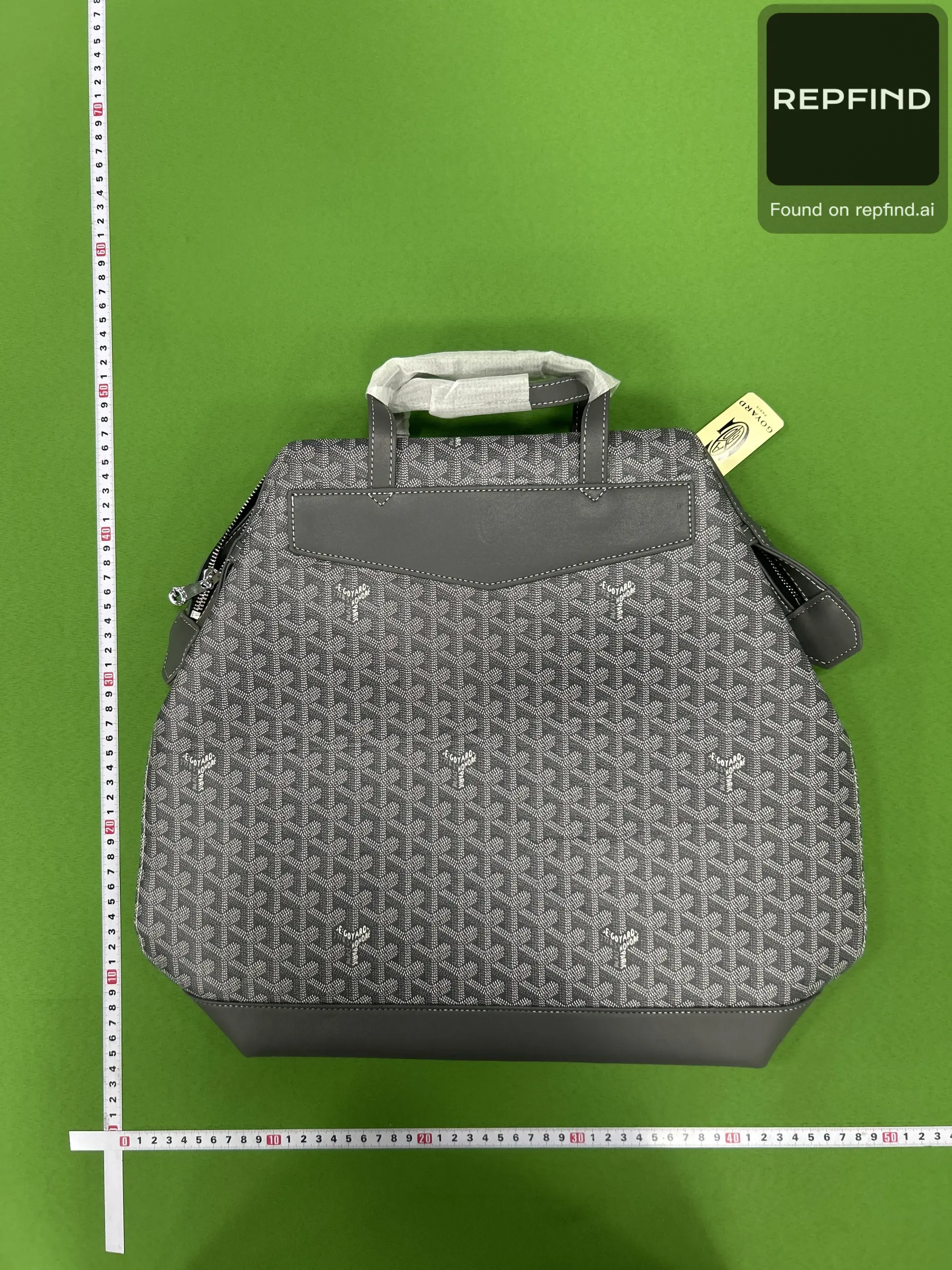 Goyard Cisalpin Backpack -2