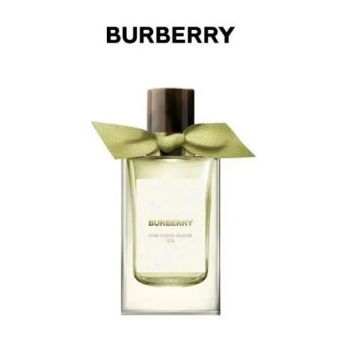 Fragrance Collection - H-45